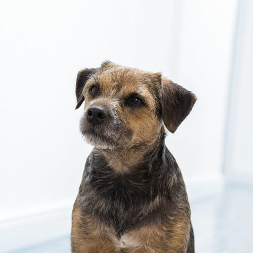 Edda Edda - Feel good manager bei der coalo GmbH